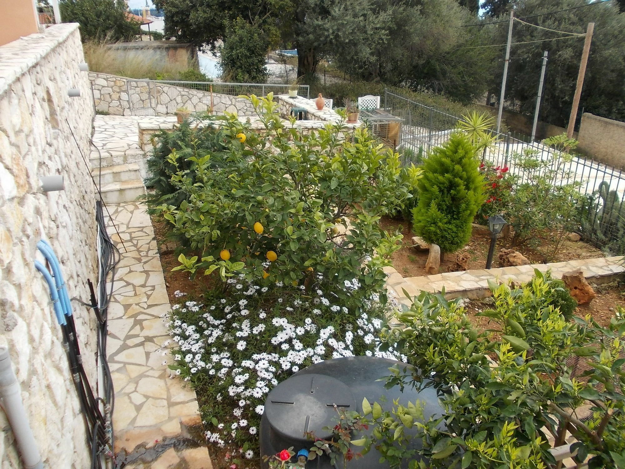 Sarakinos Apartment Barbati
